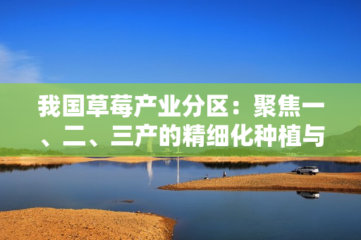 我国草莓产业分区：聚焦一、二、三产的精细化种植与加工流程  