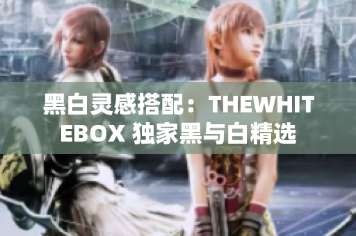 黑白灵感搭配：THEWHITEBOX 独家黑与白精选
