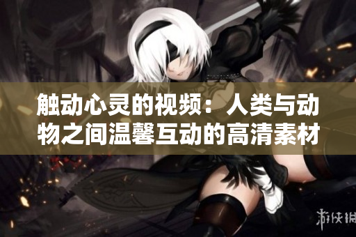 触动心灵的视频：人类与动物之间温馨互动的高清素材！
