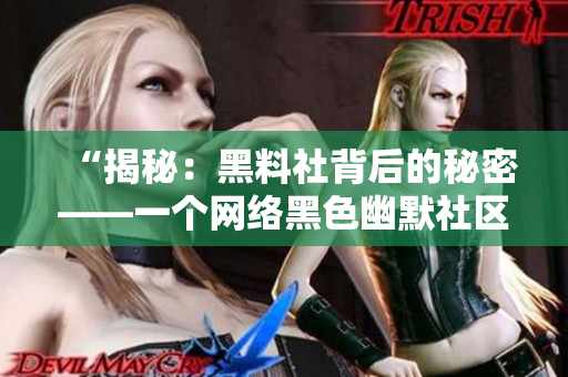 “揭秘：黑料社背后的秘密——一个网络黑色幽默社区的兴起与运作”