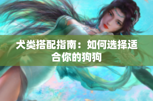 犬类搭配指南：如何选择适合你的狗狗