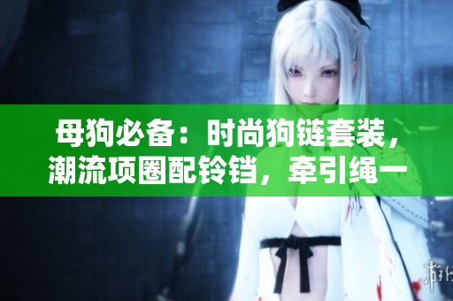 母狗必备：时尚狗链套装，潮流项圈配铃铛，牵引绳一应俱全
