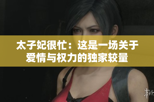 太子妃很忙：这是一场关于爱情与权力的独家较量