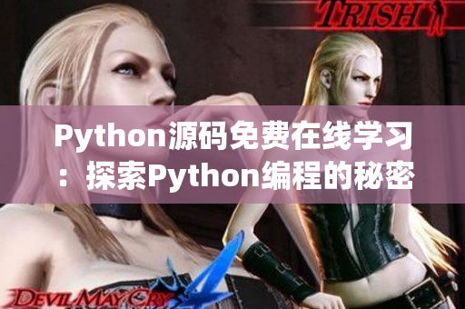 Python源码免费在线学习：探索Python编程的秘密