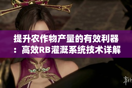 提升农作物产量的有效利器：高效RB灌溉系统技术详解