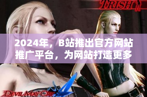 2024年，B站推出官方网站推广平台，为网站打造更多流量，加速发展