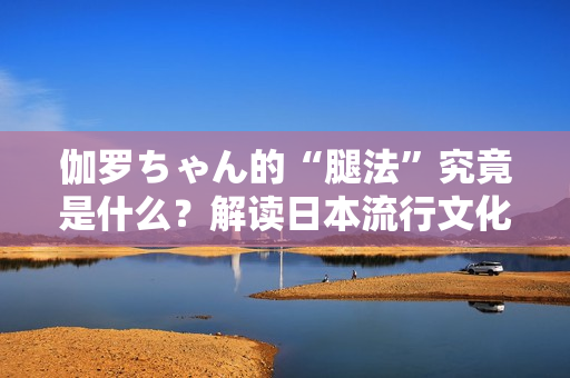 伽罗ちゃん的“腿法”究竟是什么？解读日本流行文化中的独特现象