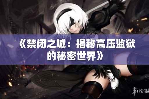 《禁闭之城：揭秘高压监狱的秘密世界》