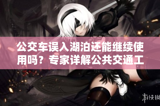 公交车误入湖泊还能继续使用吗？专家详解公共交通工具在意外情况下的安全性