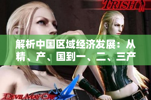 解析中国区域经济发展：从精、产、国到一、二、三产区的演变与区别