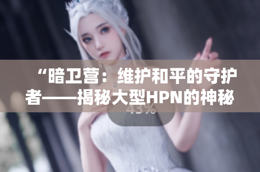 “暗卫营：维护和平的守护者——揭秘大型HPN的神秘力量”