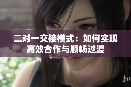 二对一交接模式：如何实现高效合作与顺畅过渡