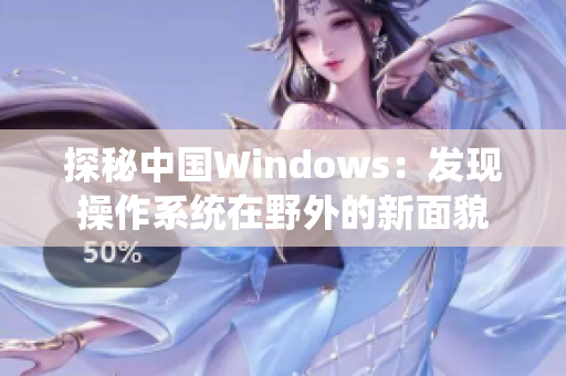 探秘中国Windows：发现操作系统在野外的新面貌
