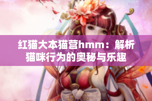 红猫大本猫营hmm：解析猫咪行为的奥秘与乐趣
