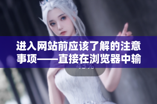 进入网站前应该了解的注意事项——直接在浏览器中输入网址进入网站的方法