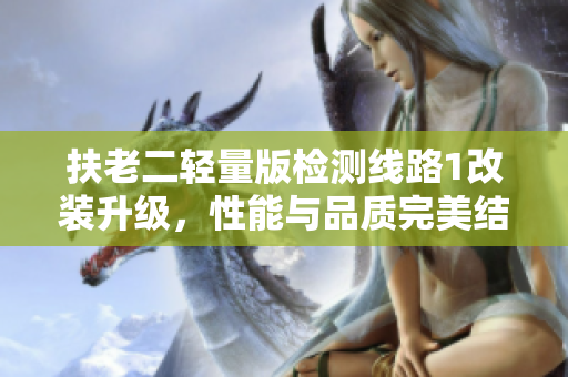 扶老二轻量版检测线路1改装升级，性能与品质完美结合