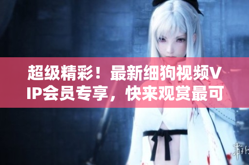 超级精彩！最新细狗视频VIP会员专享，快来观赏最可爱的小狗们