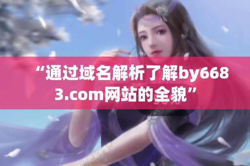 “通过域名解析了解by6683.com网站的全貌”