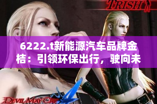 6222.t新能源汽车品牌金桔：引领环保出行，驶向未来