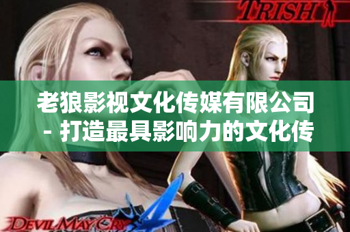 老狼影视文化传媒有限公司 - 打造最具影响力的文化传媒品牌