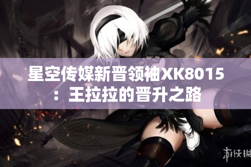 星空传媒新晋领袖XK8015：王拉拉的晋升之路