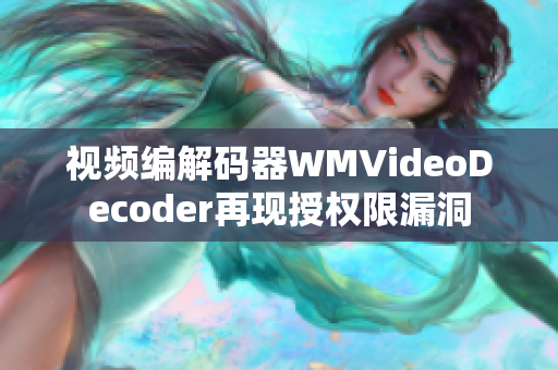 视频编解码器WMVideoDecoder再现授权限漏洞