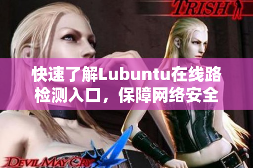 快速了解Lubuntu在线路检测入口，保障网络安全