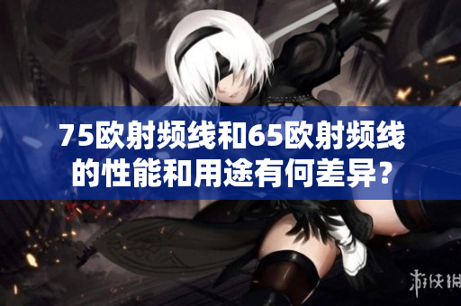 75欧射频线和65欧射频线的性能和用途有何差异？